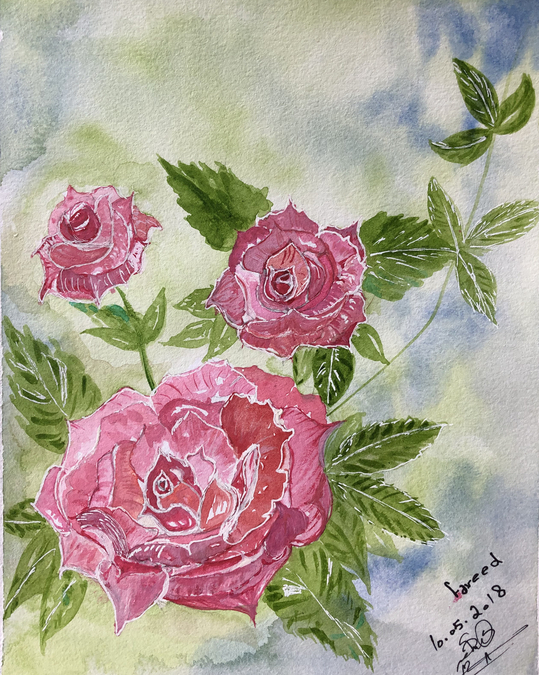 Roses, 7.12 x 9.14