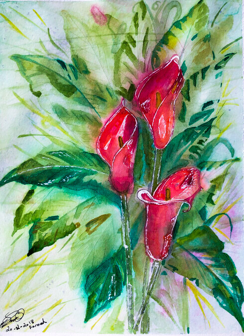 Gladiolas, 14 x 11 inches