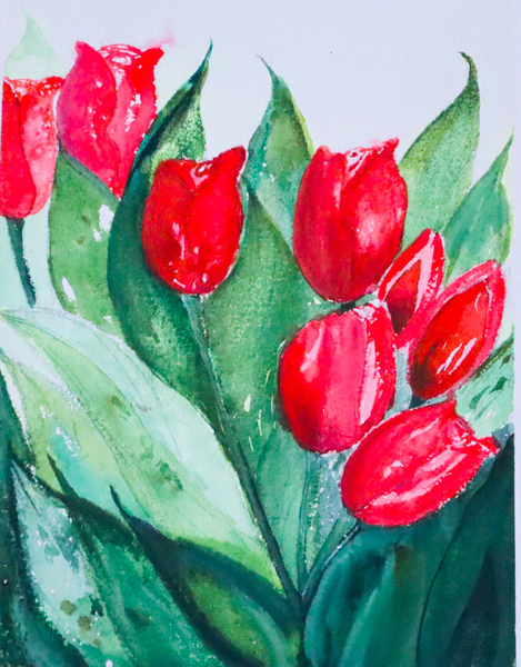 Tulips from my Garden, 15 x 11 inches